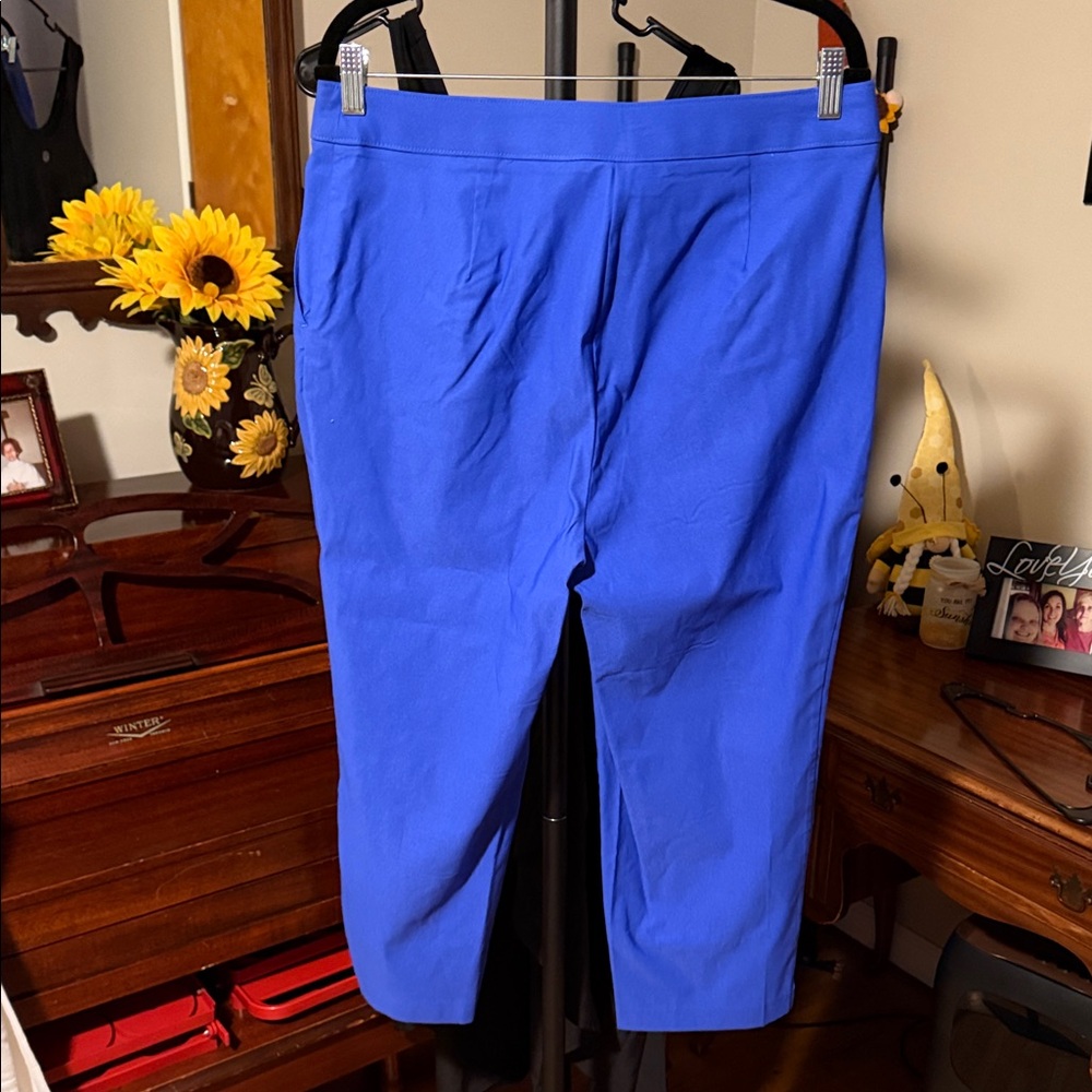Rafaella Dazzling Blue Stretch Capri - Picture 3 of 3
